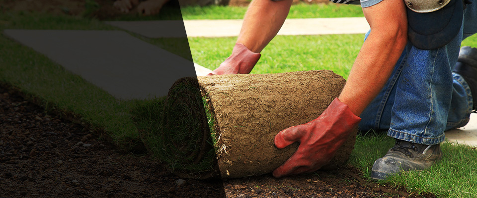 Ceres Landscapers